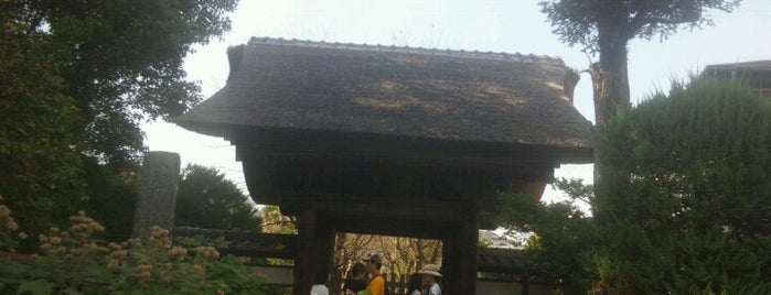 Gokurakuji Temple is one of サザン.
