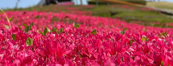 もみじ平総合公園 is one of Z33さんの保存済みスポット.