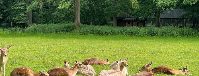 Wildpark Tannenbusch is one of Urlaub.