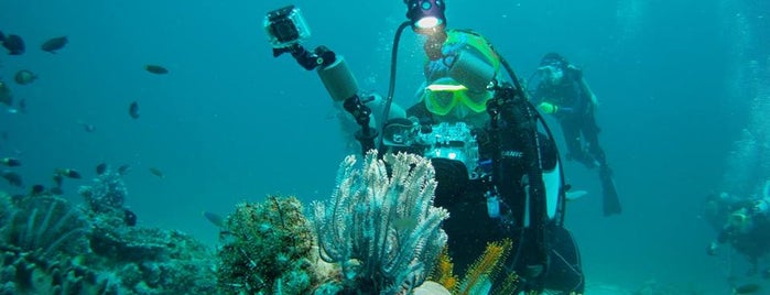 Go-Diving Scuba Studio Boracay is one of Philippines/ Boracay.