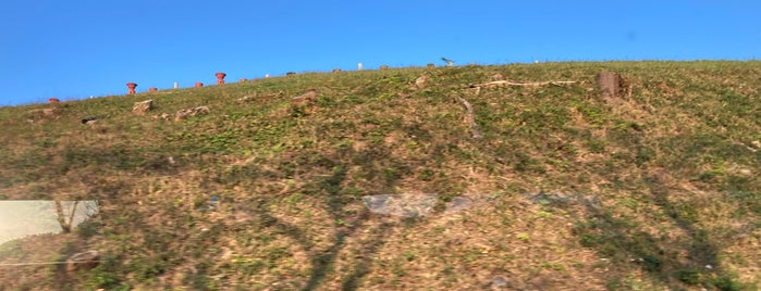 茶すり山古墳 is one of 西日本の古墳 Acient Tombs in Western Japan.