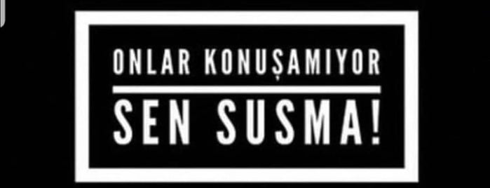 Sahil Yolu is one of ÜSKÜDAR_İSTANBUL.