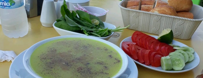 Bizim Park Restaurant is one of Tempat yang Disukai Aslıhan.