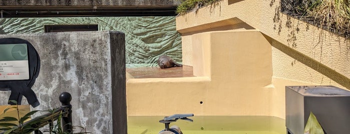 Hippopotamus is one of 美術館・博物館.