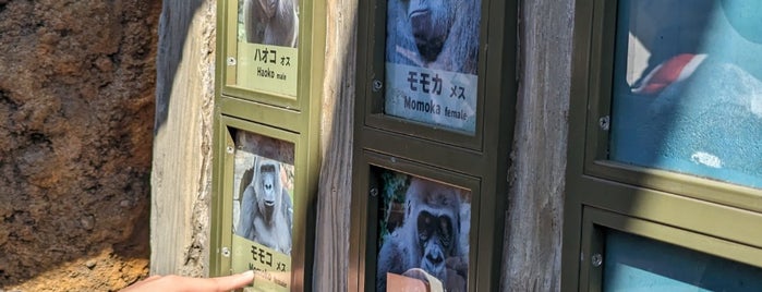 Gorilla Woods is one of The 15 Best Zoos in Tokyo.
