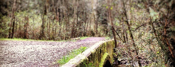 Green Timbers Urban Forest is one of Megan'ın Beğendiği Mekanlar.