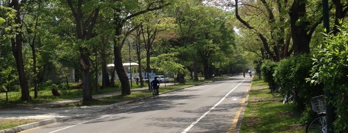 北海道大学構内循環バス 上り