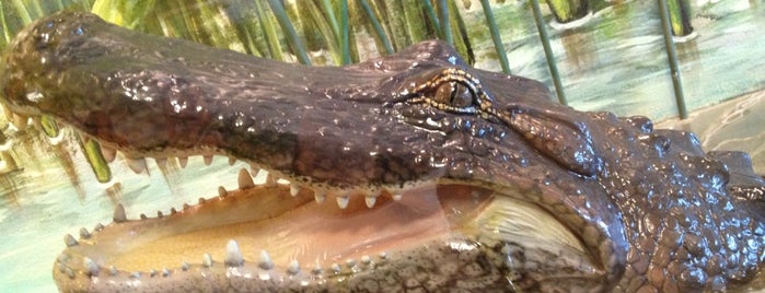 Green Cay Wetlands is one of Orlando.