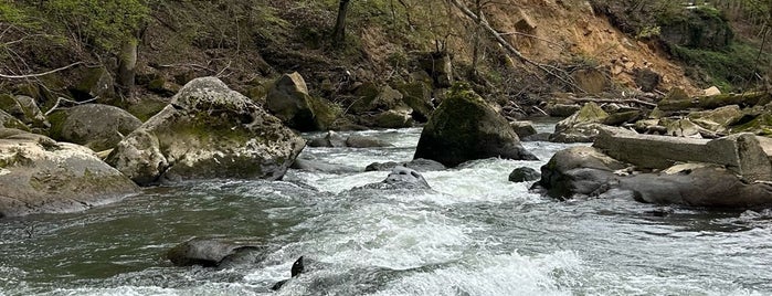 Irreler Wasserfälle is one of Around Rhineland-Palatinate.