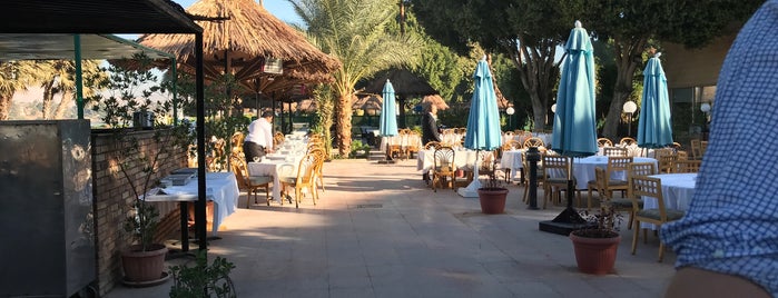 Terrace is one of الاقصر.