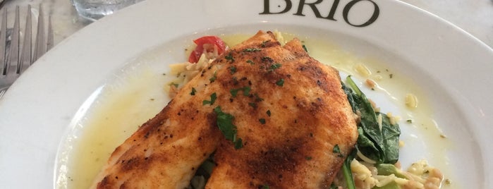 Brio Tuscan Grille is one of Richmond things.