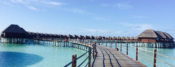 Vilu Reef Beach Resort & Spa, Maldives is one of Tempat yang Disukai Foodtraveler_theworld.