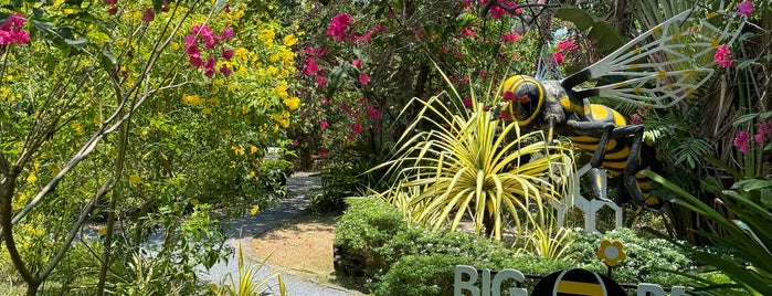 Big Bee Farm (Phuket) is one of Thailand 🇹🇭.