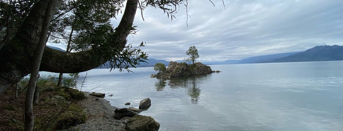 Reserva Peninsula del Lican Ray is one of Lugares visitados.