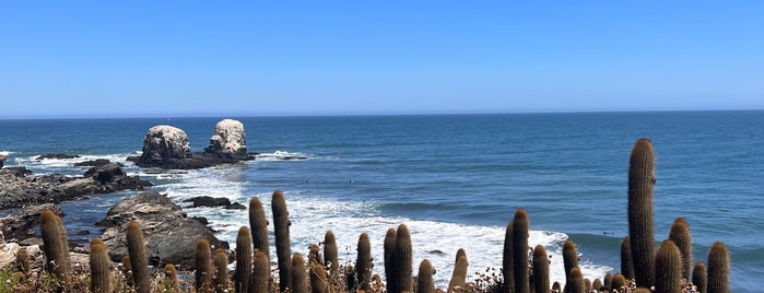 Punta de Lobos is one of Chile 🇨🇱.