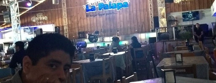 La palapa oficial is one of Locais curtidos por Gus.