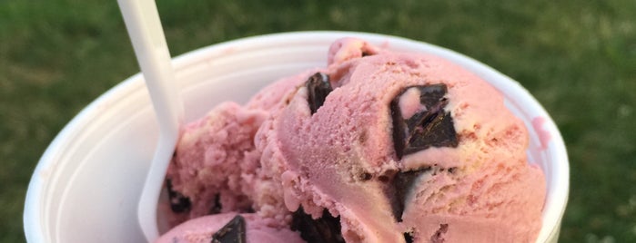 Tasty Treat is one of Ice Cream.
