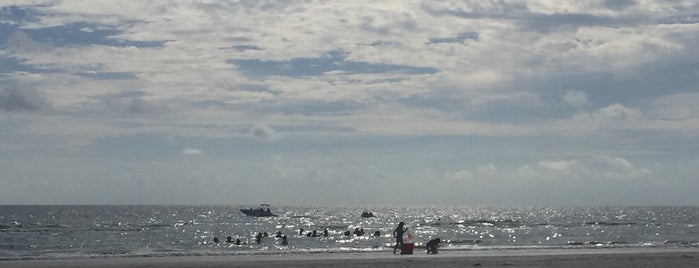 Gulf Shores is one of Tempat yang Disukai John.