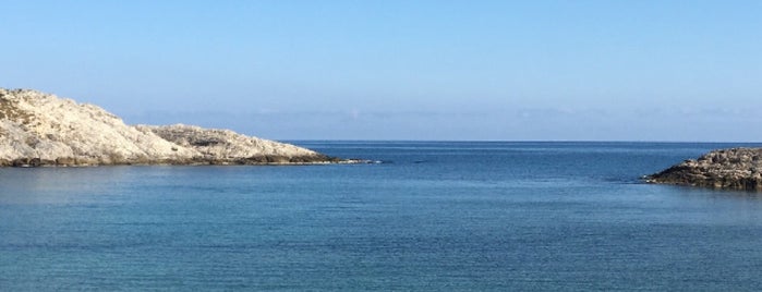 Palamar Plajı is one of deniz.