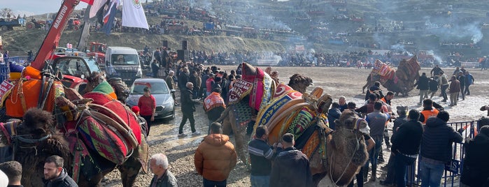 Saraykoy Deve Guresi Alani is one of Deve Güreşi.