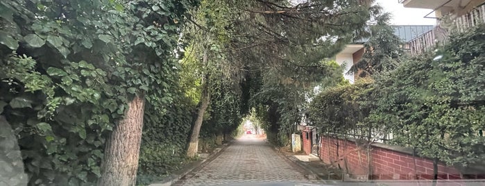 Çamlık Parkı is one of Denizli.