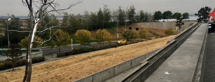 Olympic Sculpture Park is one of Larissa’s Liked Places.