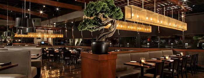 P.F. Chang's is one of martín’s Liked Places.