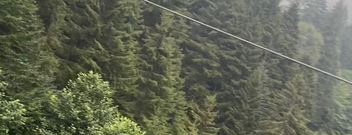 Abja Zipline is one of Karadeniz.