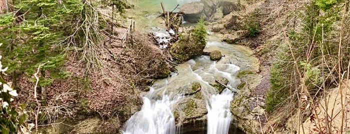 Scheidegg Wasserfall is one of Tempat yang Disukai Marcel.
