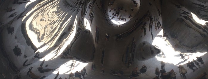 Cloud Gate by Anish Kapoor (2004) is one of Posti che sono piaciuti a Cass.