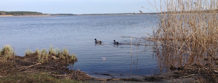 Juglas ezers (Jugla Lake) is one of Riga.