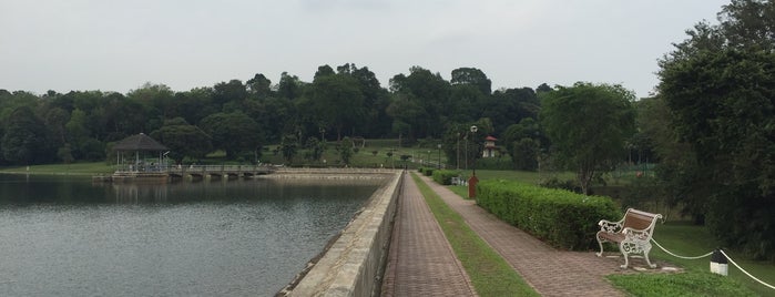 Lower Peirce Reservoir Park is one of Nature Parks (Singapore).