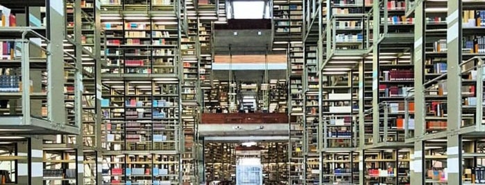 Biblioteca Vasconcelos is one of Beautiful Libraries.