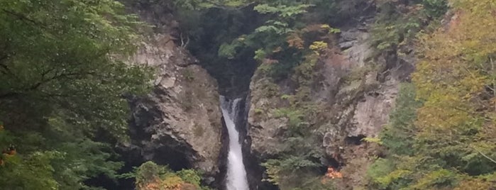根尾の滝 is one of 日本の滝百選.