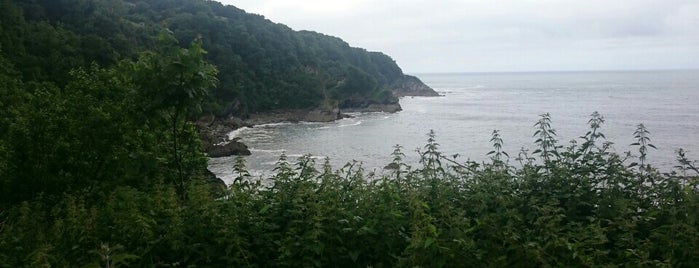 Combe Martin Beach Holiday Park is one of My list 2.