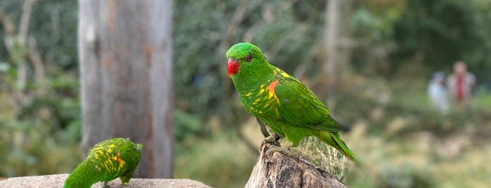 Parrot Trail is one of ZOO Praha.