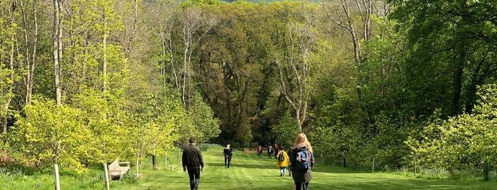 Abbotsbury gardens is one of Lugares favoritos de Elliott.