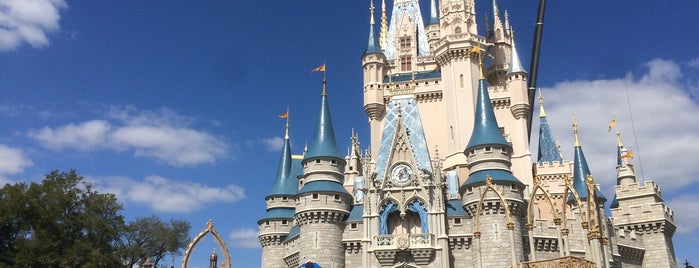 Dream-Along With Mickey is one of Walt Disney World.