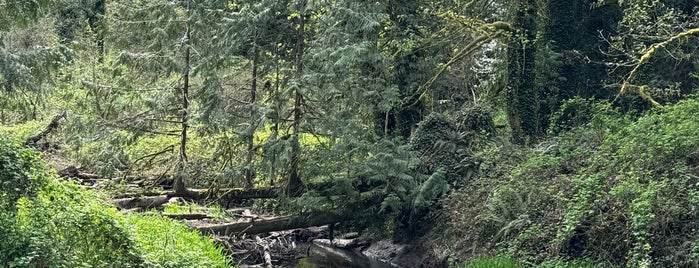 Tryon Creek State Park is one of Portland.