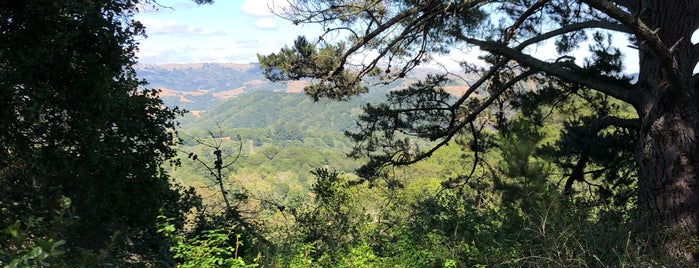 Anthony Chabot Regional Park is one of Posti che sono piaciuti a cnelson.