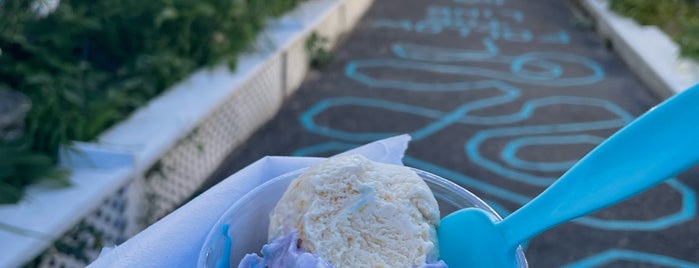 Shock Ice Cream and Candy Store is one of My Long Island Roots.