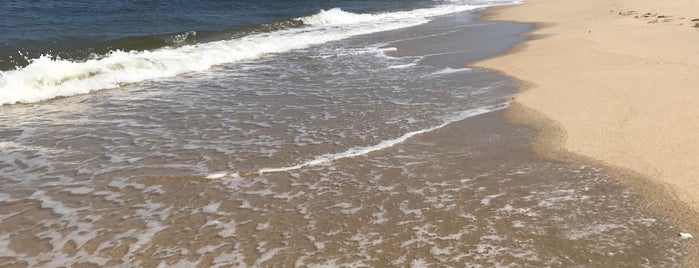 Sandy Hook - North Beach is one of Tempat yang Disukai SKW.