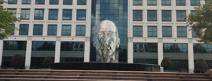 Giant Chrome Head is one of Charlotte activities.