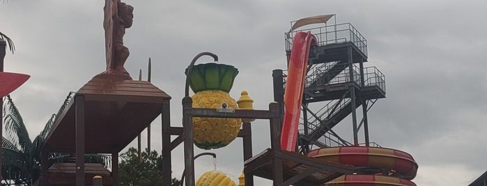 Alabama Splash Adventure is one of Steel City.