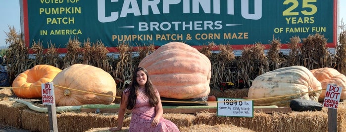 Carpinito Bros Pumpkin Patch is one of With Leon.