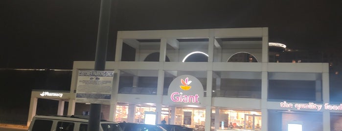 Giant Food is one of grocers.