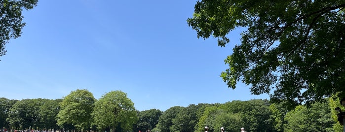 小金井公園 is one of Tokyo.