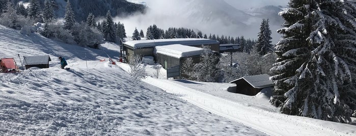 Télécabine Super-Morzine is one of Ricardoさんのお気に入りスポット.
