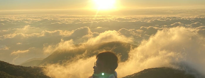 Mt Pulag Summit is one of i must travel.