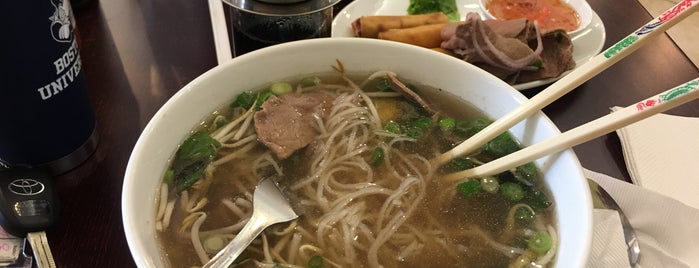 Pho & More Vietnamese Noodle House is one of The 15 Best Places for Veggie Dumplings in Houston.
